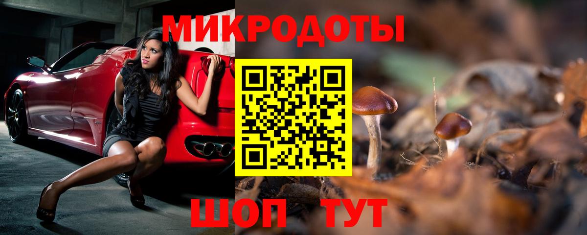 Галлюциногенные грибы Psilocybine cubensis Верхняя Салда